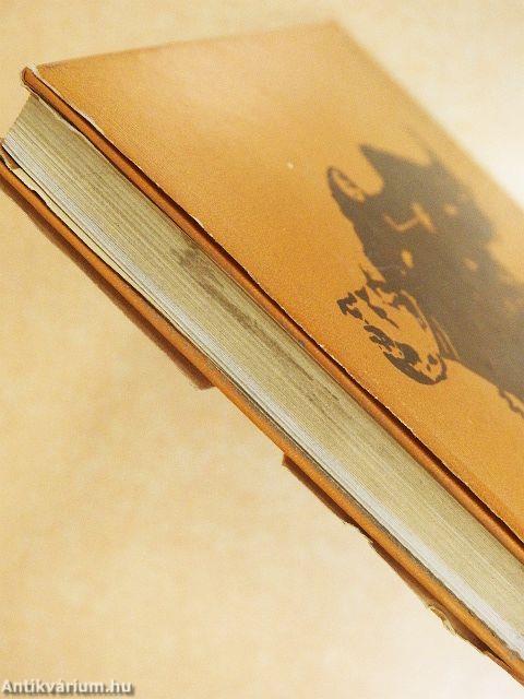 Arany János hétköznapjai