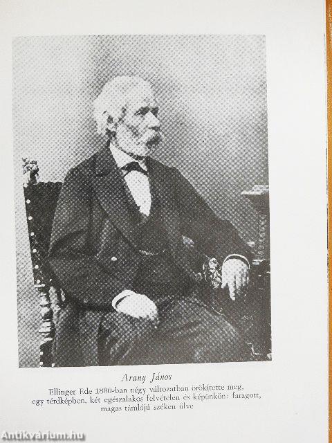 Arany János hétköznapjai