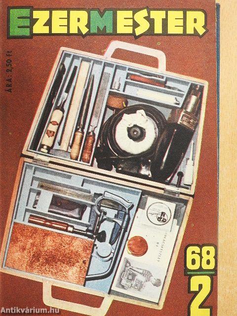Ezermester 1968-1969. (vegyes számok) (13 db)/Amit te megtehetsz...