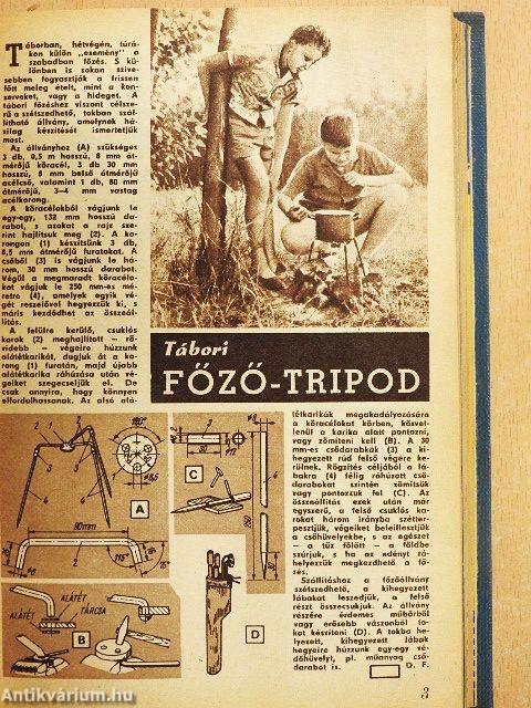 Ezermester 1968-1969. (vegyes számok) (13 db)/Amit te megtehetsz...