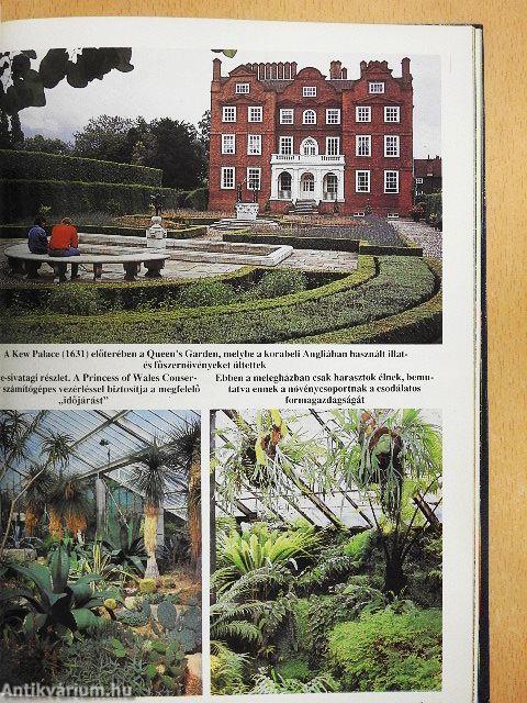 Süni 1993. január-december