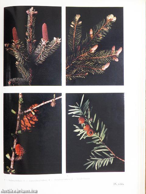 Erdészeti-Vadászati-Faipari Lexikon