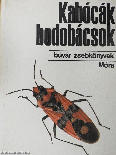 Kabócák, bodobácsok