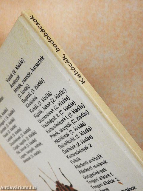 Kabócák, bodobácsok