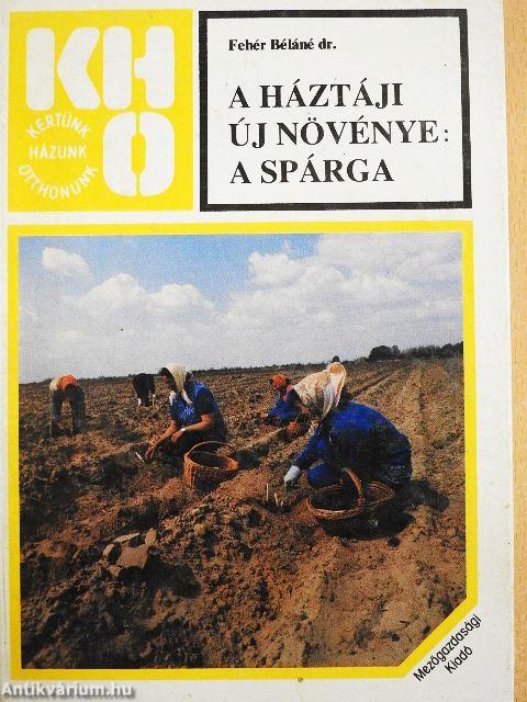 A háztáji új növénye: a spárga