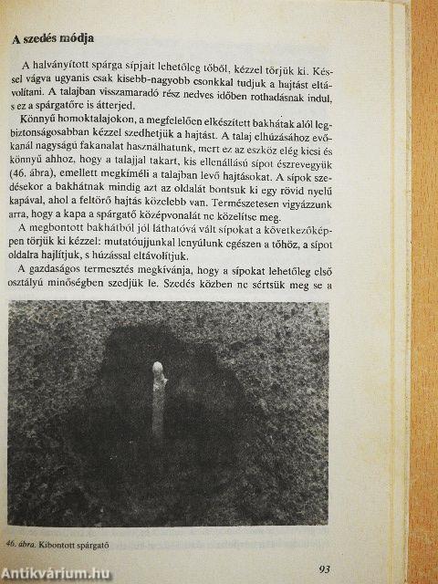 A háztáji új növénye: a spárga