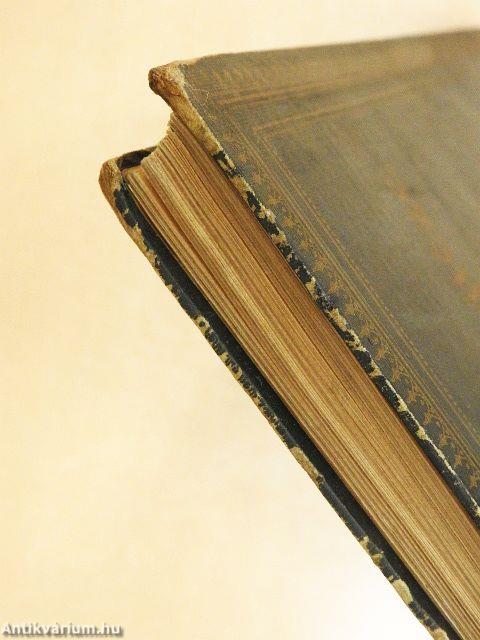 A búrok magyar vitéze