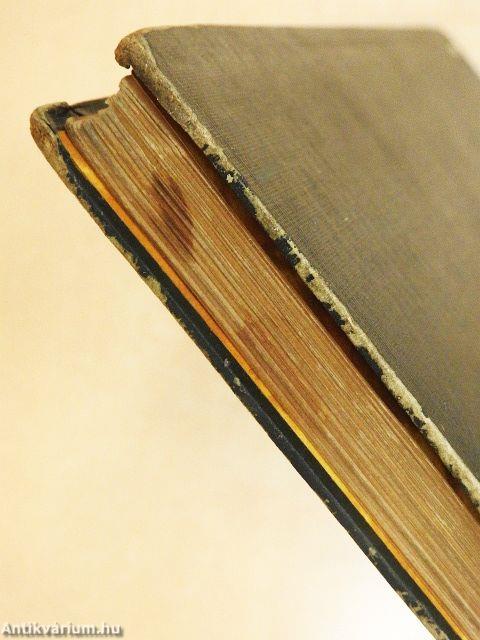 A búrok magyar vitéze