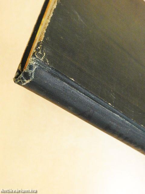 A búrok magyar vitéze