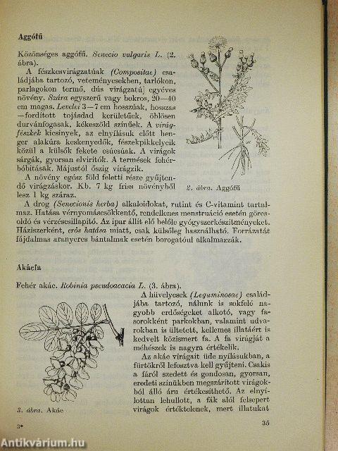 Gyógyító növények