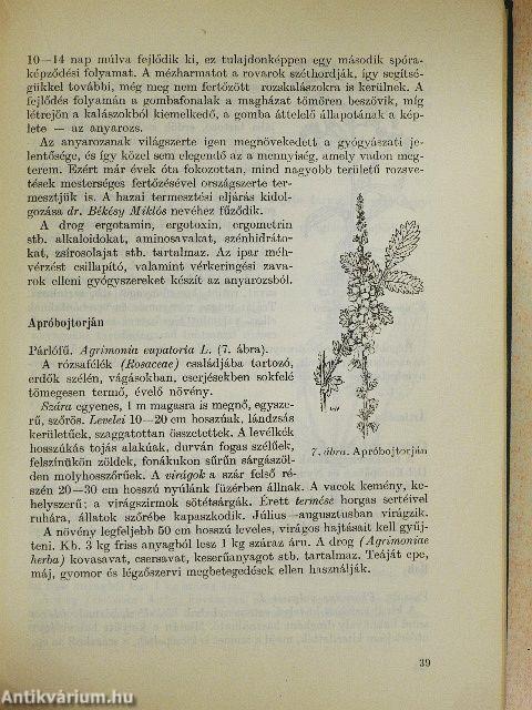 Gyógyító növények