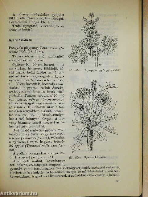 Gyógyító növények