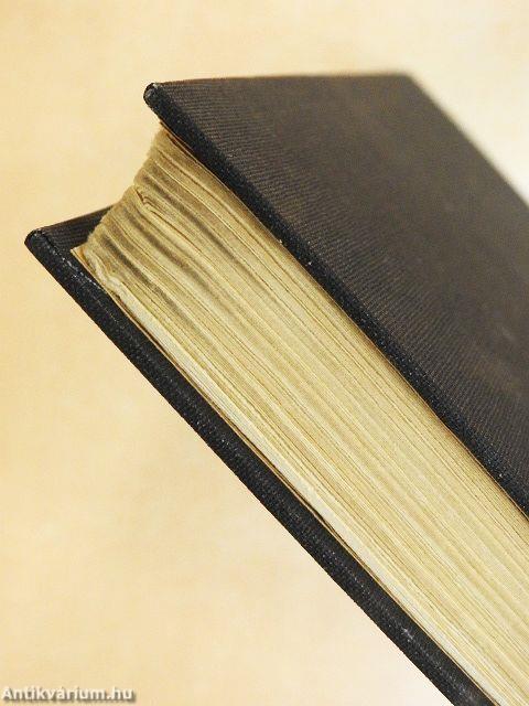 Malte Laurids Brigge feljegyzései