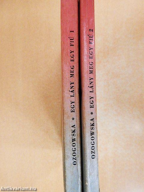 Egy lány meg egy fiú I-II.