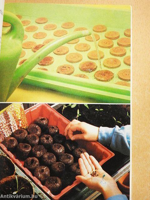 Növényszaporítás otthon