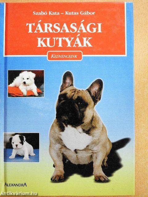 Társasági kutyák