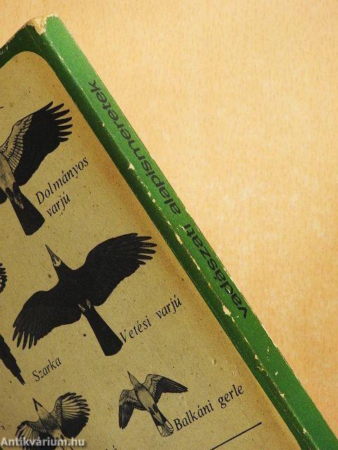 Vadászati alapismeretek