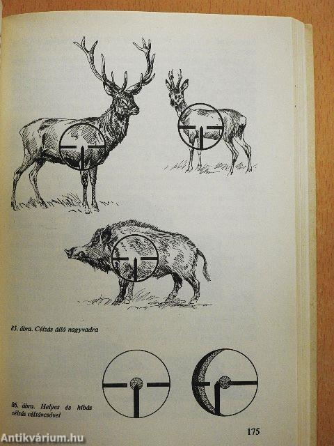 Vadászati alapismeretek