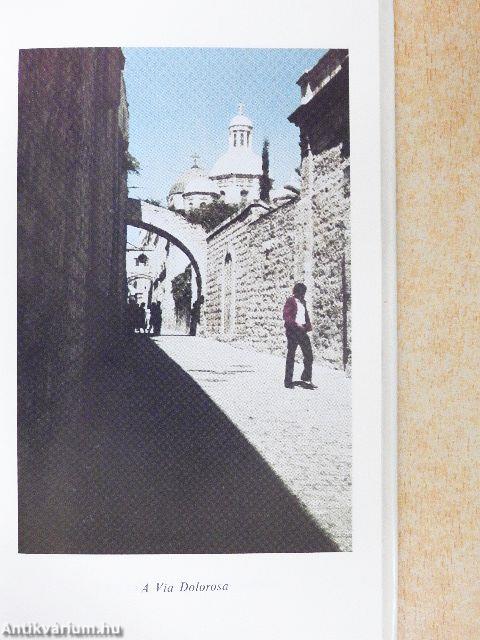 Szentföld Dávid csillagában