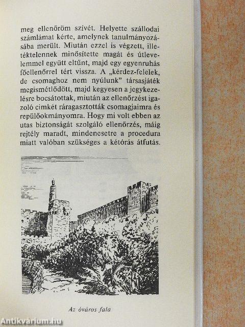 Szentföld Dávid csillagában