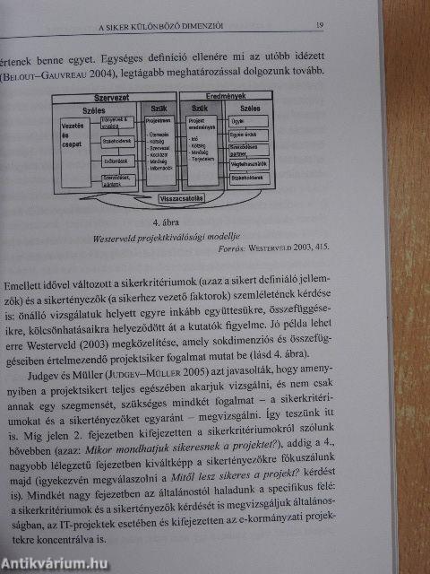 E-kormányzati projektek sikere és értékteremtése