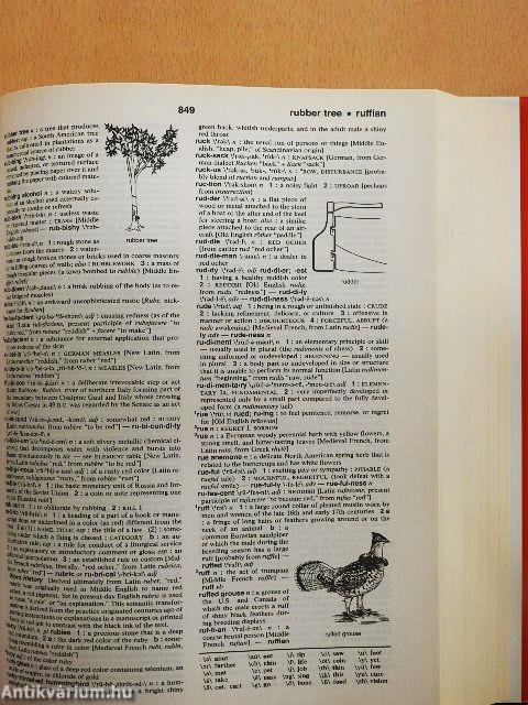 Webster's New Explorer College Dictionary