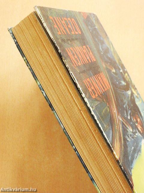 Männer - Planken - Ozeane