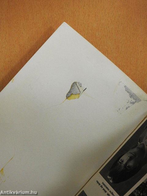 Halottak szabadságon