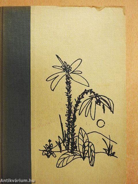 A dzsungel előtt meghal a szél