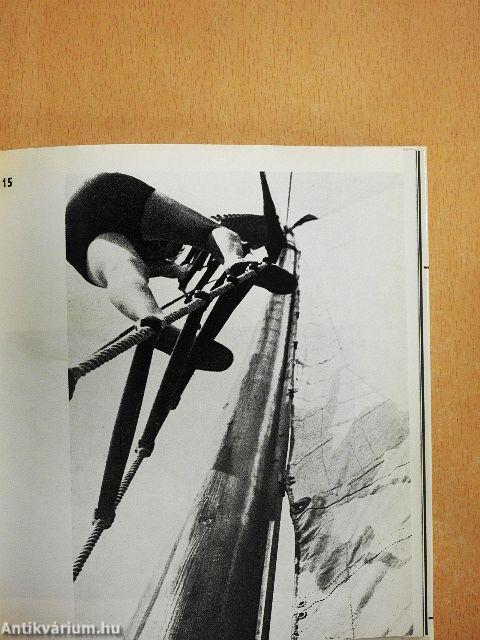 Moholy-Nagy László munkássága