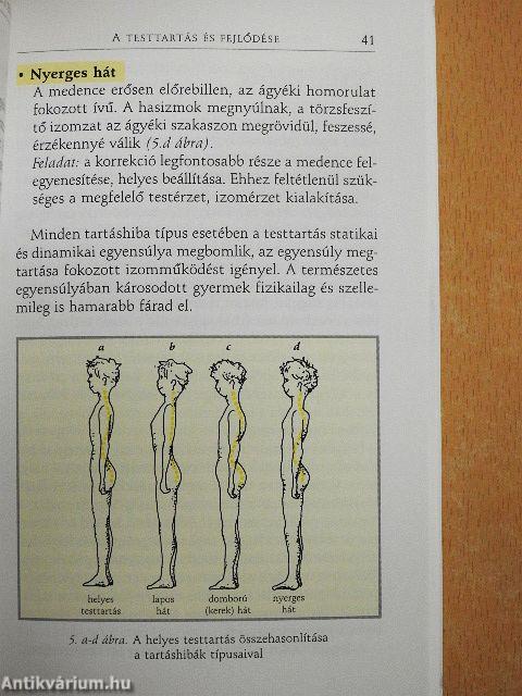 A mozgásszervek védelme gyermekkorban