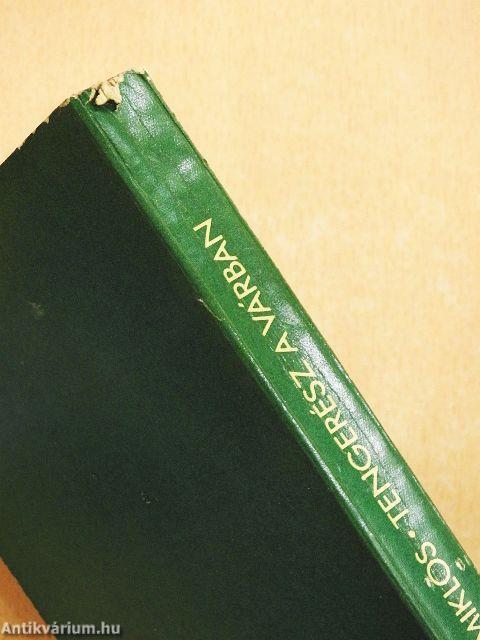 Tengerész a Várban