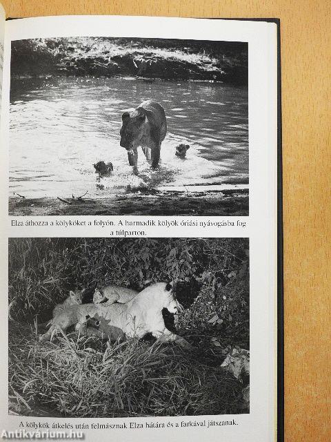 Elza és kölykei