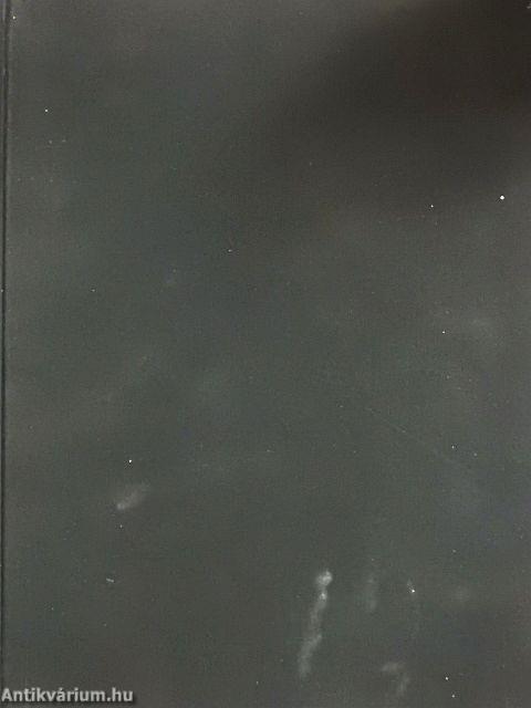 Budapest krónikája