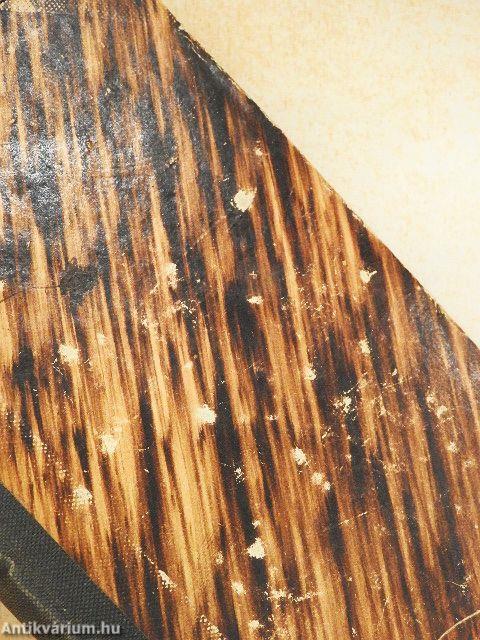 Die göttliche Mutter als Vorbild des katholischen Priesterthums/Speculum Cleri (gótbetűs)