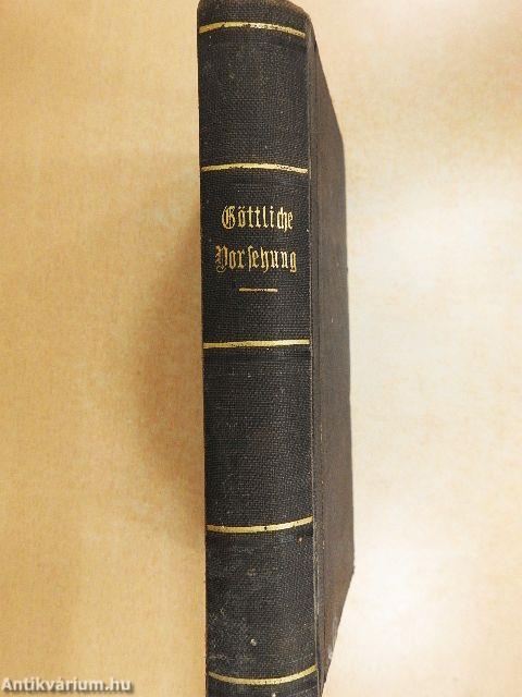 Zweihundertdreißig auffallende Akte der Göttlichen Vorsehung und Strafgerechtigkeit (gótbetűs)