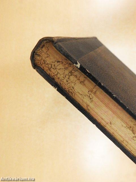 Schutt und Epheu/Schauspiele für Jungfrauen-Vereine und weibliche Bildungsanstalten II./Das Haus zu Nazareth (gótbetűs)