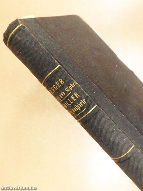 Schutt und Epheu/Schauspiele für Jungfrauen-Vereine und weibliche Bildungsanstalten II./Das Haus zu Nazareth (gótbetűs)