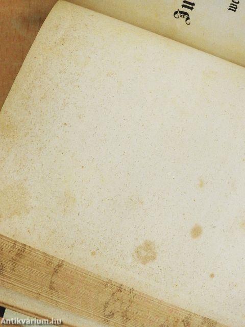 Schutt und Epheu/Schauspiele für Jungfrauen-Vereine und weibliche Bildungsanstalten II./Das Haus zu Nazareth (gótbetűs)