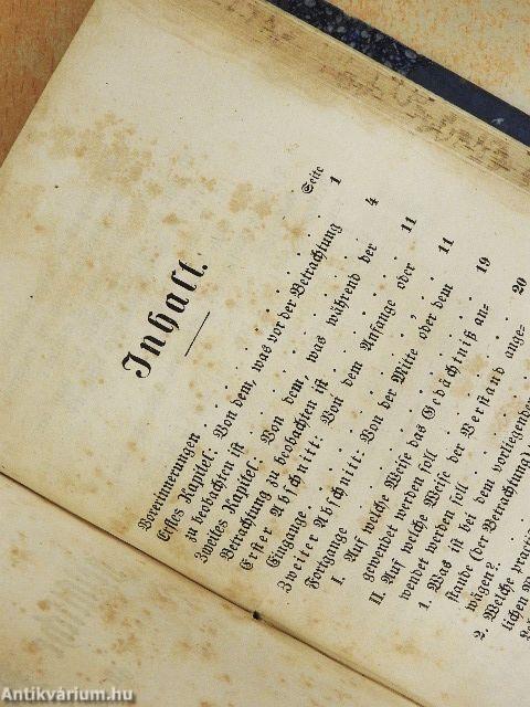 Apostolat des gebetes in Vereinigung mit dem göttlichen Herzen Jesu/Art und Weise, die geistliche Betrachtung zu verrichten (gótbetűs)