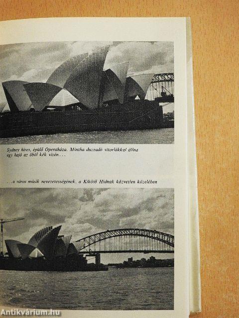 Hozzál nekem kengurut