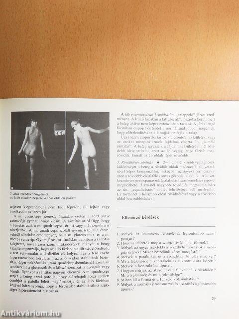 Az ortopédia tankönyve