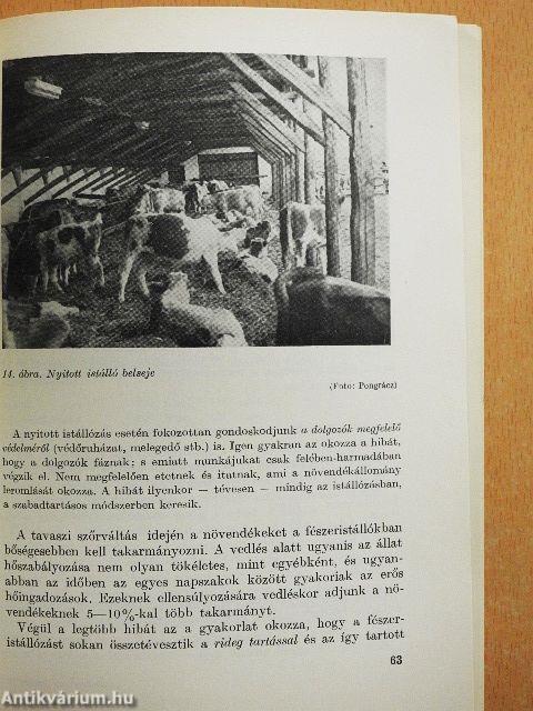 Korszerű módszerek a nagyüzemi állattenyésztésben