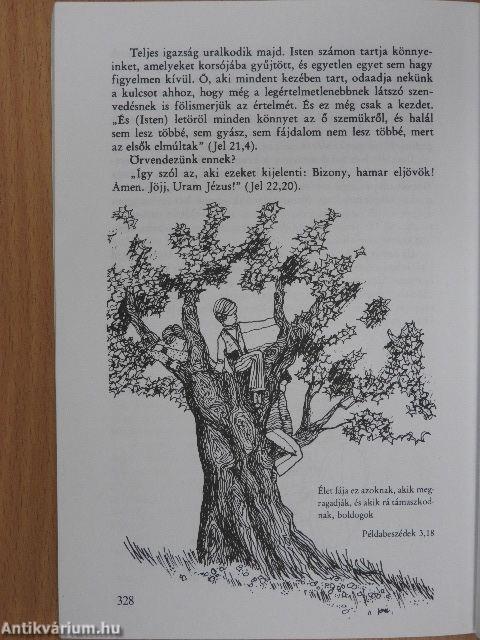 Joni/Egy lépéssel tovább