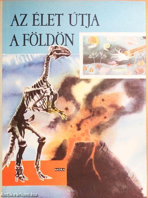 Az élet útja a Földön