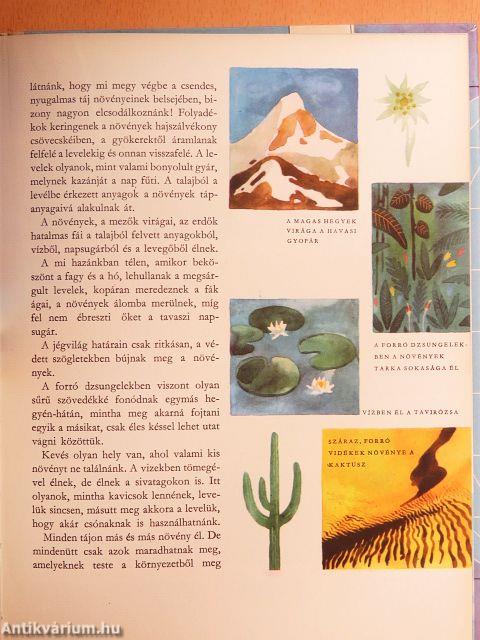 Az élet útja a Földön