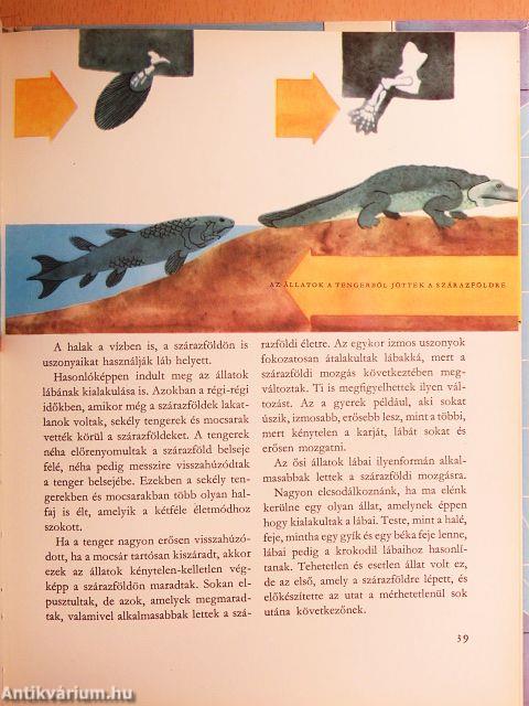 Az élet útja a Földön