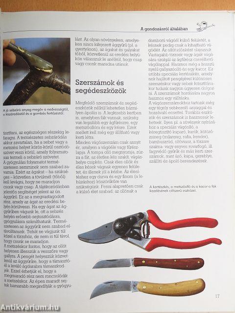 Dísznövények metszése