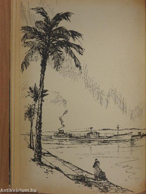 Männer - Planken - Ozeane