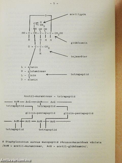 Állatorvosi mikrobiológia II.